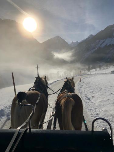 Abelhof, Schladming (fotografie 10)