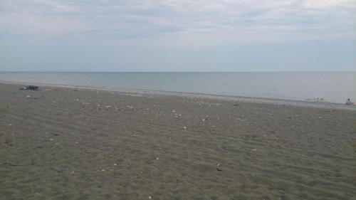 Guest House na Komarov 1