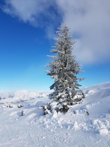 Flachauer Bergkristall