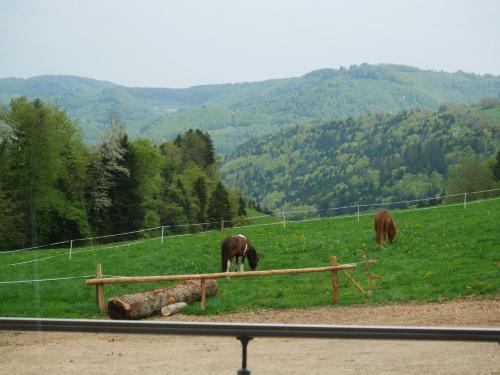 La Joux Chaupe