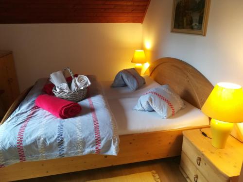 APARTMENT in CHALET BOHINJ - main image