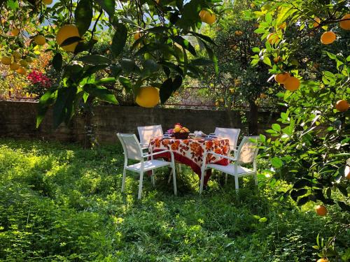 Anna's beautiful house in 里奧尼迪昂