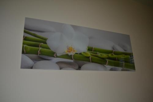 Il Girasole in กัมปิ บิเซนซิโอ