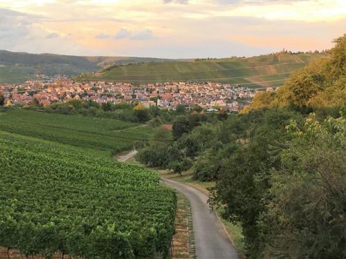 Ferienwohnungen Weinstadt