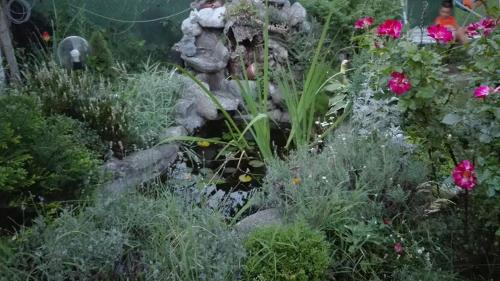 Veselata Guest House - image 7