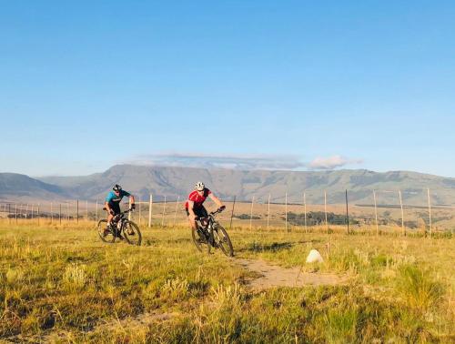 Grey Goose Game Lodge Grey Goose Game Lodge