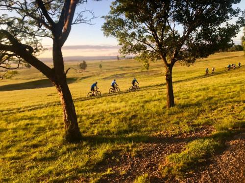 Grey Goose Game Lodge Grey Goose Game Lodge