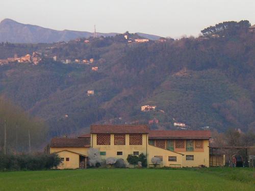 Il Chicco d'Oro