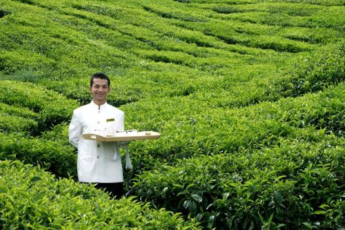 Cameron Highlands Resort - Small Luxury Hotels of the World