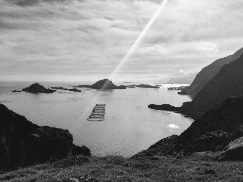 Kaikanten Kro og Rorbu Kaikanten Kro og Rorbu