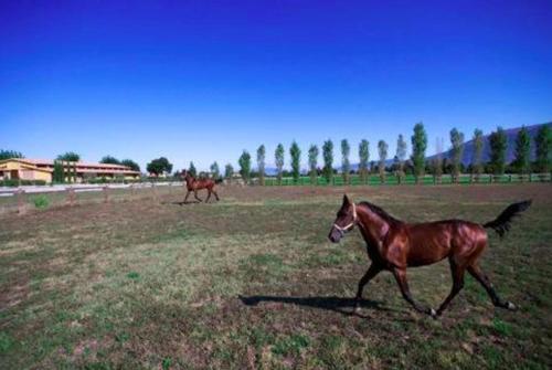 Il Baio Relais & Natural Spa