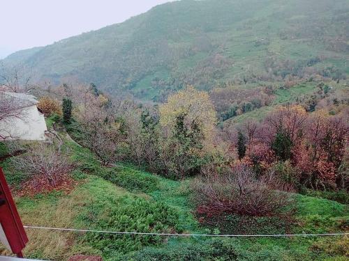 Hotels Image