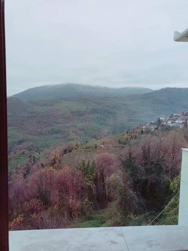 Hotels Image