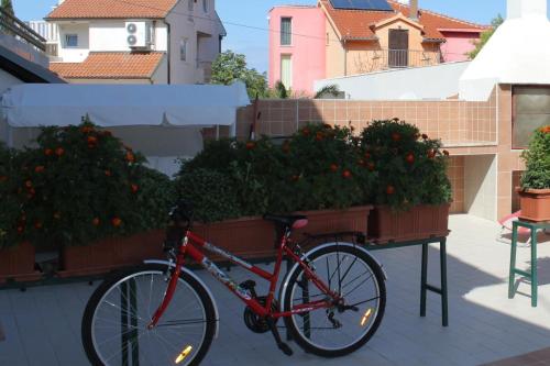 Apartments by the sea Bilo Primosten - 8364 - image 2