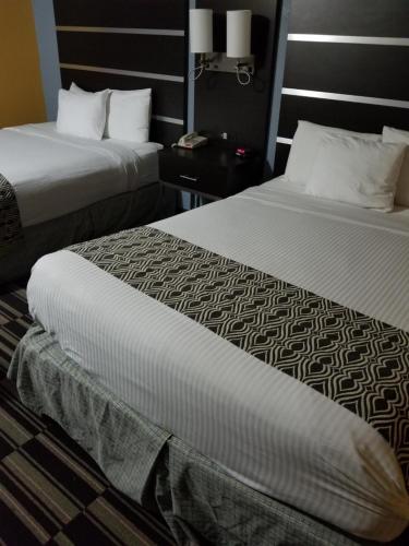 Microtel Inn & Suites by Wyndham Riverside - image 4