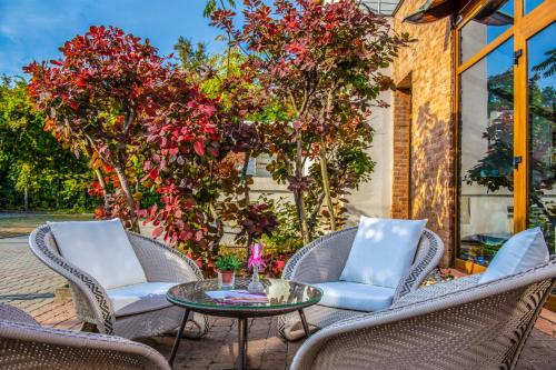 Residence Hotel Balaton - image 12