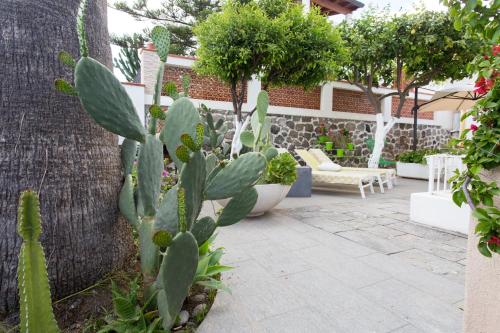Villa Searose - image 14