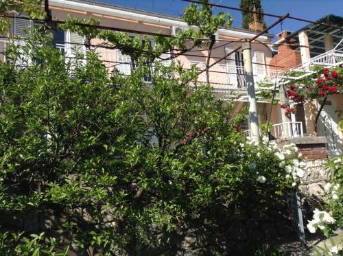  Guest House Luce Roses in Mlini