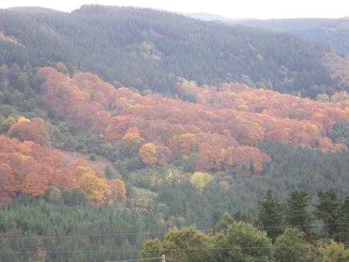 Mendi Alai - image 13