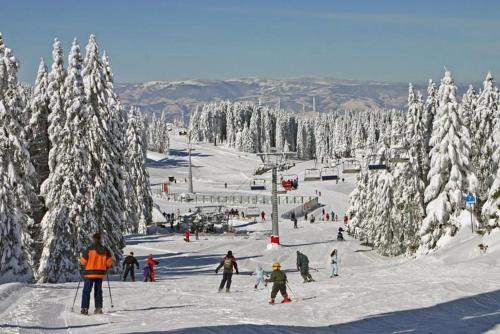 As Lux Apartmani Kopaonik - main image