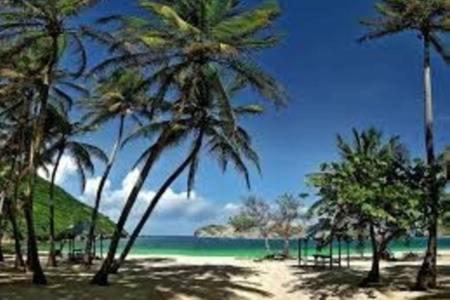 AUX ILES d'AMOUR in Terre-de-Haut