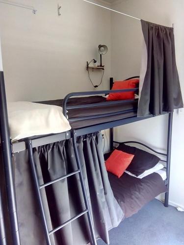 Bouncing Lamb Backpackers - Photo 2 in Nelson, New Zealand