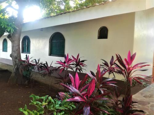 Isleta El Roble