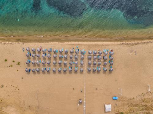 Coral Blue Beach Hotel Gerakini - image 2