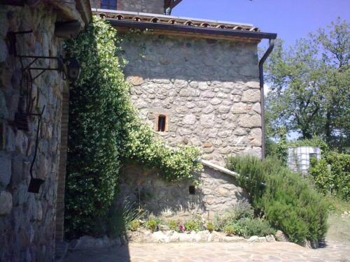 Podere I Casaloni - La casa nel bosco