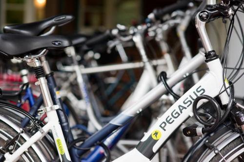 Romantik Hotel Aselager Mühle - image 2