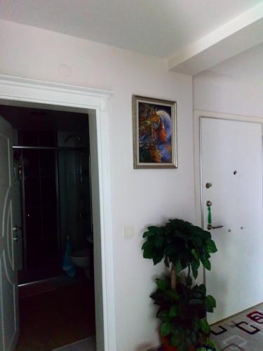  Sokak 212, Tutay Delux sitte in Mahmutlar