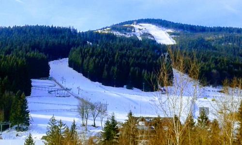 Gosciniec pod Wyciagiem