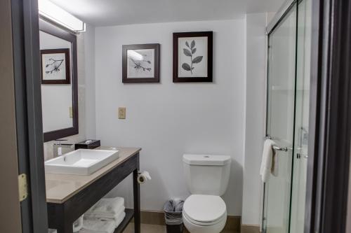 Country Inn & Suites by Radisson Harlingen TX - image 2
