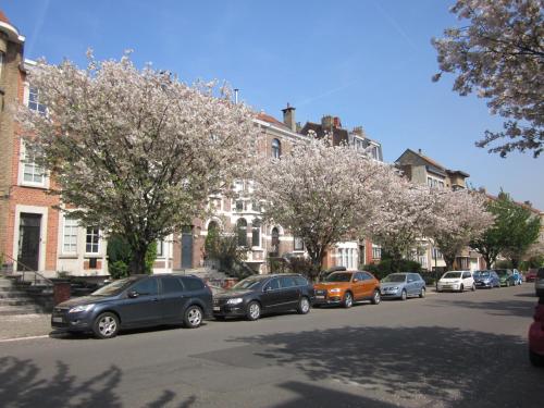  La Maison des Chouettes in Brüssel