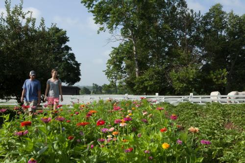 Shaker Village of Pleasant Hill - image 2