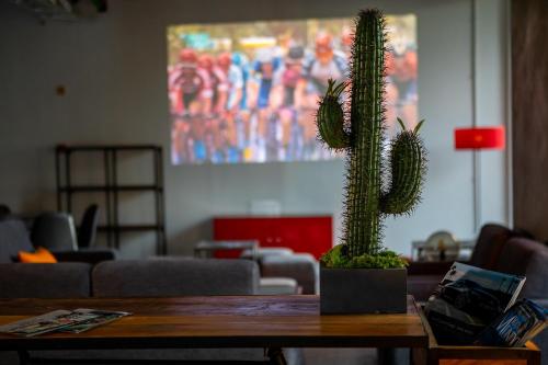 ผับ/เลาจน์, Sport Hotel Gym + SPA in โควิลฮา