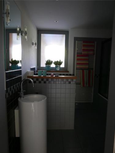Schwarzes Schaf in Kleve, Deutschland