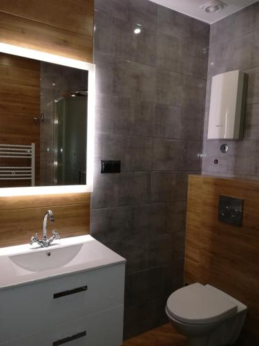 Na Starówce - Apartment - Żywiec