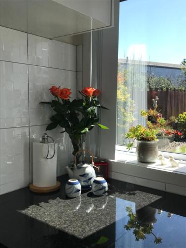 A Hotel Com Half Moon Bay Cottage Homestay Auckland New