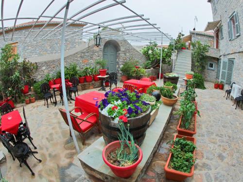 Theano Guesthouse 3