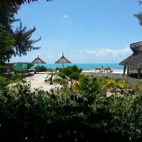 Driftwood Beach Lodge — Photo 5
