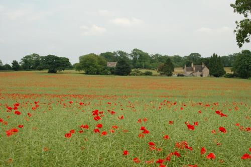 Instalaciones, Woodland Guesthouse in Stow-on-the-wold