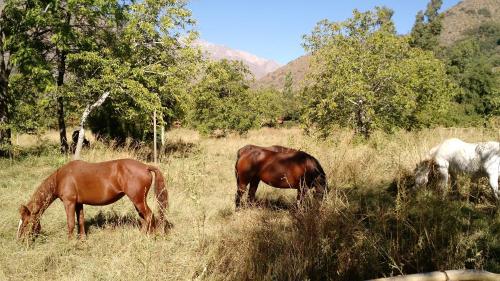 Cascada Lodge Cajon del Maipo