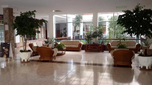 Lovely 1-bedroom apartment with a big terrace, Las Americas, Tenerife