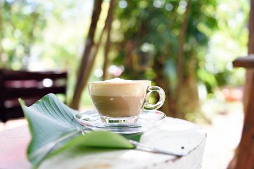 Green Pepper, Ko Lanta (fotografie 7)