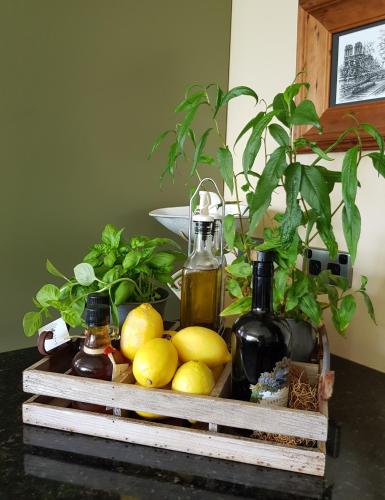 طعام و مشروبات, Villa Te Soro Bed and breakfast in بوكيكوه