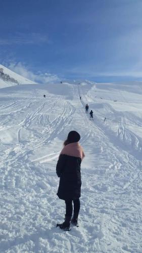 安吉丽娜旅馆 安吉丽娜旅馆