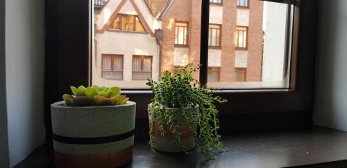 Oficyna Form - Apartament Dwupoziomowy