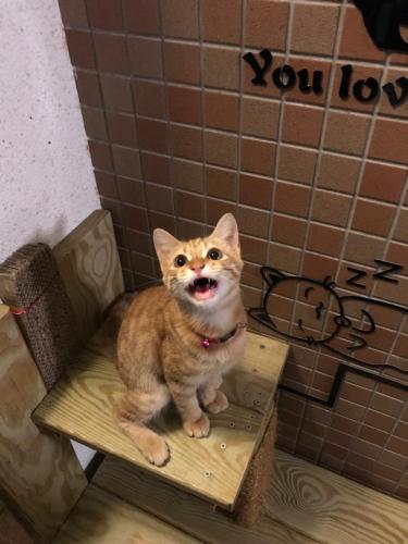 旭日山庄民宿  旭日山庄民宿