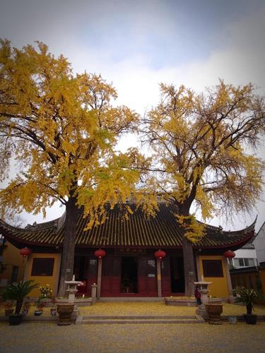 Suzhou Blue Gate Youth Hostel  in Suzhou